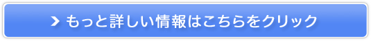 flC̃V[wbhyꂢƁz̔TCg
